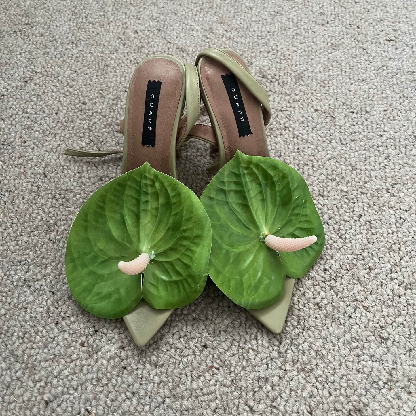 Anthurium Heel: Green/Green