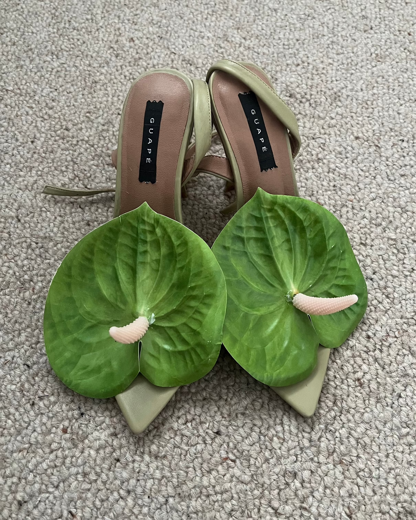 Anthurium Heel: Green/Green